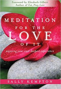 Meditation for the Love of it- Enjoying Your Own Deepest Experience by Sally Kempton